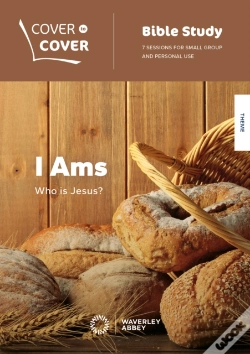 Capa do artigo I Ams