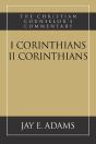 I And Ii Corinthians - Preview