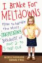 I Brake For Meltdowns - Preview