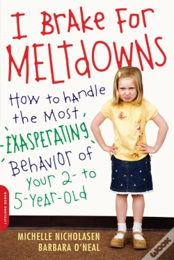 Capa do artigo I Brake For Meltdowns
