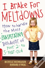 Capa do artigo I Brake For Meltdowns