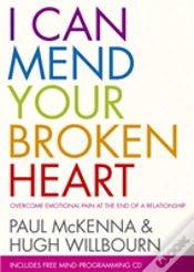 Capa do artigo I Can Mend Your Broken Heart