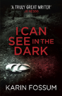 I Can See In The Dark - Preview