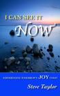 I Can See It Now: Experiencing Tomorrow'S Joy Today - Preview