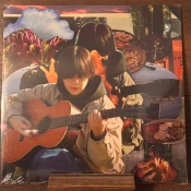 Capa do artigo I Can See The Future - Vinil