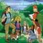 I Cantastorie Di Bosco Verde - Preview