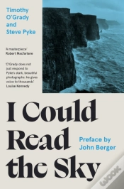 Capa do artigo I Could Read The Sky