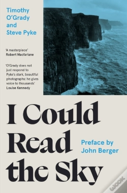 Capa do artigo I Could Read The Sky