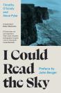 I Could Read The Sky - Preview