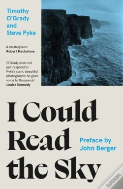 Capa do artigo I Could Read The Sky
