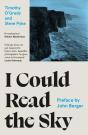 I Could Read The Sky - Preview