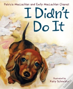 Capa do artigo I Didn'T Do It
