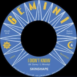 Capa do artigo I Didn't Know (Extended Mix)/I Didn't Know (Dub Version) - Vinil