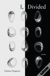 Capa do artigo I, Divided