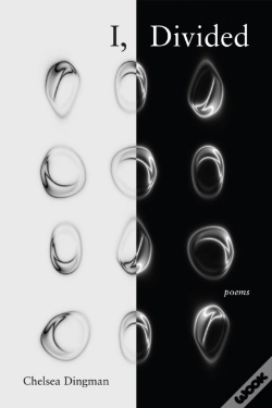 Capa do artigo I, Divided