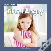 I Feel Angry