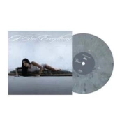 Capa do artigo I Feel Everything - Vinil