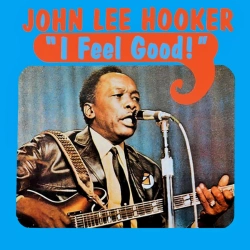 Capa do artigo I Feel Good! - Vinil