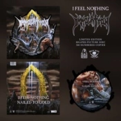 Capa do artigo I Feel Nothing - Vinil