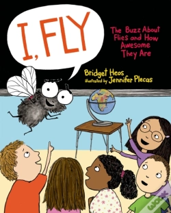 Capa do artigo I, Fly