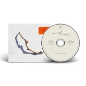 Capa do artigo I Inside the Old Year Dying - CD