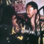 I Just Can't Help Myself - Vinil - Preview