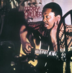 Capa do artigo I Just Can't Help Myself - Vinil