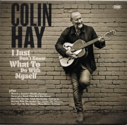 Capa do artigo I Just Don't Know What To Do With Myself - CD