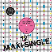 Capa do artigo I Just Keep Dancing - Vinil