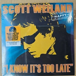 Capa do artigo I Know It's Too Late - Vinil