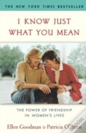 Capa do artigo I Know Just What You Mean