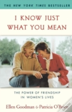 Capa do artigo I Know Just What You Mean