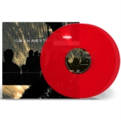 Capa do artigo I Let It in and It Took Everything - Vinil