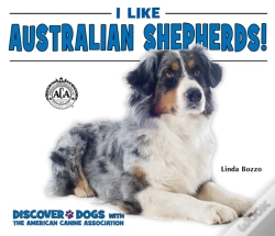 Capa do artigo I Like Australian Shepherds!