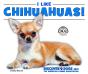 I Like Chihuahuas! - Preview