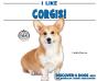 I Like Corgis! - Preview