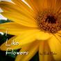 I Like Flowers - Preview