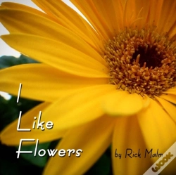 Capa do artigo I Like Flowers