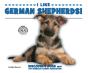 I Like German Shepherds! - Preview