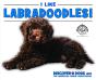 I Like Labradoodles! - Preview