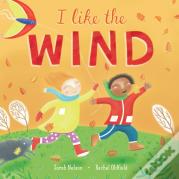 I Like The Wind