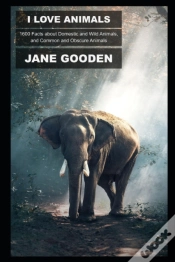 Capa do artigo I Love Animals