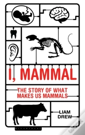 Capa do artigo I, Mammal