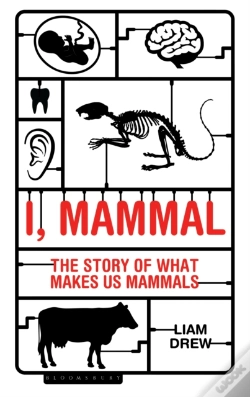 Capa do artigo I, Mammal