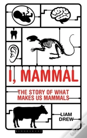 Capa do artigo I, Mammal