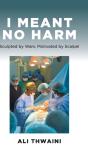 I Meant No Harm - Preview
