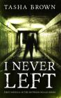 I Never Left - Preview