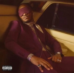 Capa do artigo I Never Liked You - CD