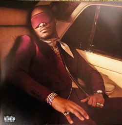 Capa do artigo I Never Liked You - Vinil
