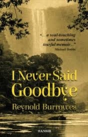 I Never Said Goodbye - Preview